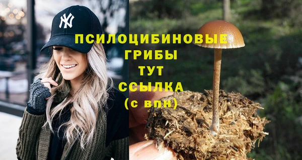 шишки Россошь