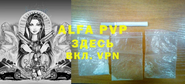 spice Аркадак