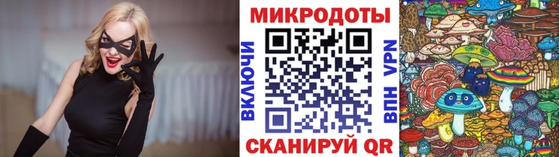 Псилоцибиновые грибы мухоморы  цена наркотик  Каменногорск 